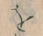 Đã định vị を