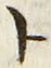 「ト」字