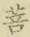 Chữ 菩