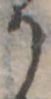位置定マレル𛀚