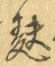 Đã định vị 麩