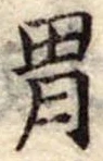 胃 위치 확인됨