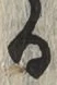 文字 る