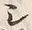 文字シ