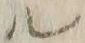 「ル」字
