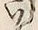 𡨸い