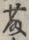 藤の位置
