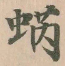 蜹 위치 확인됨