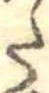 Đã định vị 𛁠