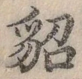 貂 위치 확인됨