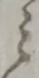 兵 위치 확인됨