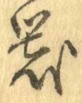 已定位器