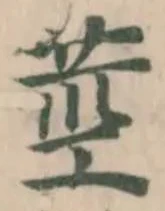 莖の位置