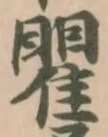 矍 위치 확인됨
