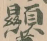 𩎌 위치 확인됨