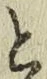 文字と