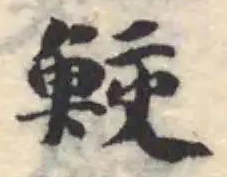 Đã định vị 鮫