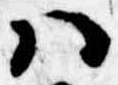 Đã định vị 𛂞