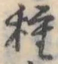 種の位置