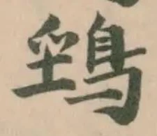 鵛 위치 확인됨