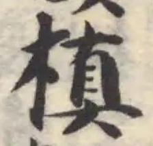 Đã định vị 槙
