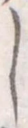 𛁅 위치 확인됨