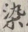 位置定マレル染