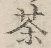 茶 위치 확인됨