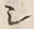 文字シ