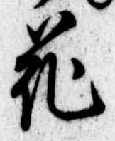 花 위치 확인됨