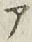 字ア