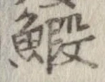 Đã định vị 鰕