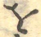 𛄜 위치 확인됨