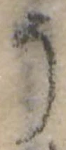 位置定マレル𛁚