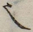 㐌定位𬻿