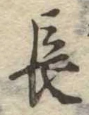 長 위치 확인됨
