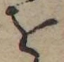 位置定マレル𛄜