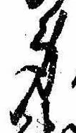 身の位置