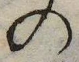 位置 確認된 の