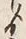 文字ゟ