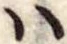 𛂞の位置
