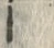 「ー」字