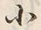 글자 小