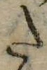 𛁠の位置