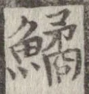 鱊 위치 확인됨