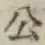 字公