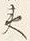 글자 夷