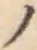 字ノ