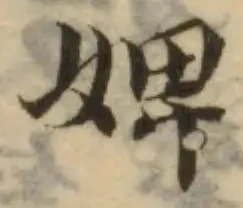婢の位置