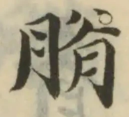 膌 위치 확인됨